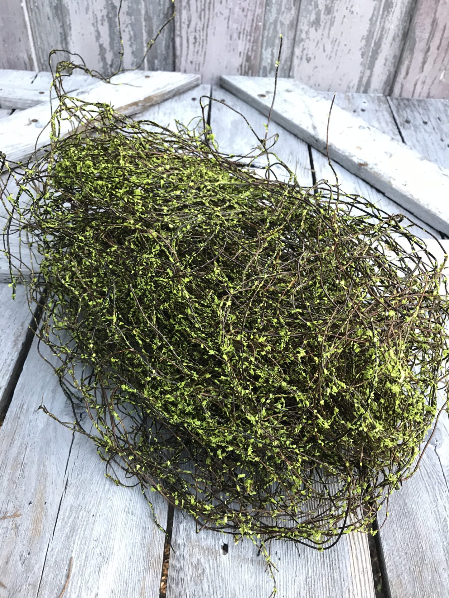Green Twig Moss - Kelea's Florals