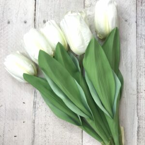 White tulips-6hdgs-80333 (1)