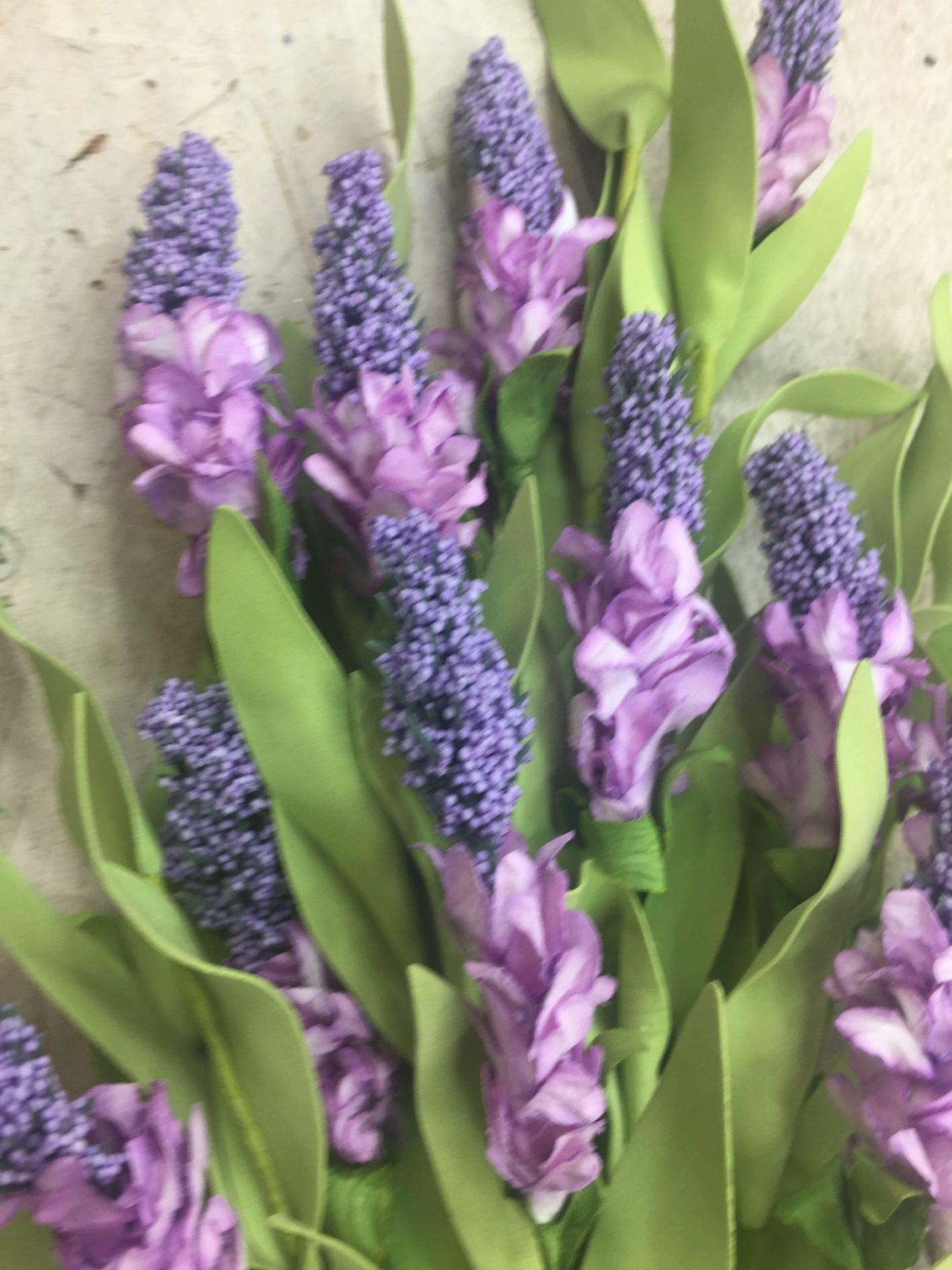 Purple Flower Bush Kelea's Florals