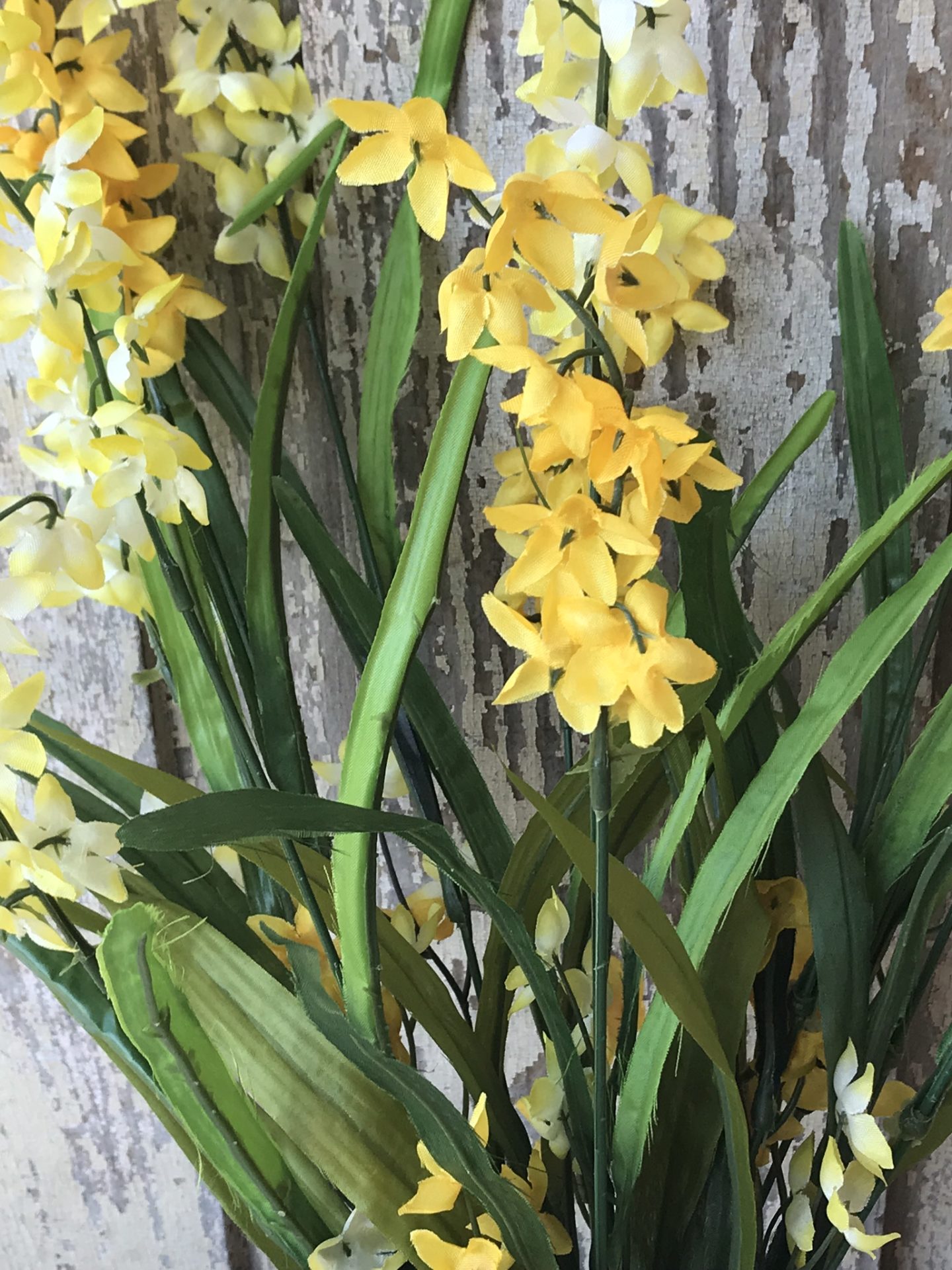 Yellow Bell Flower bush Kelea's Florals