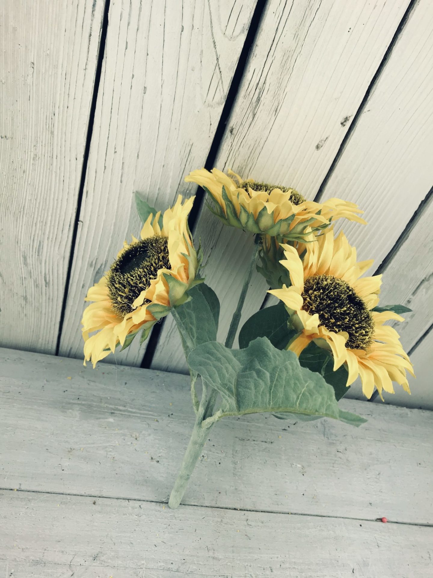 Yellow Sunflower Bush Kelea's Florals