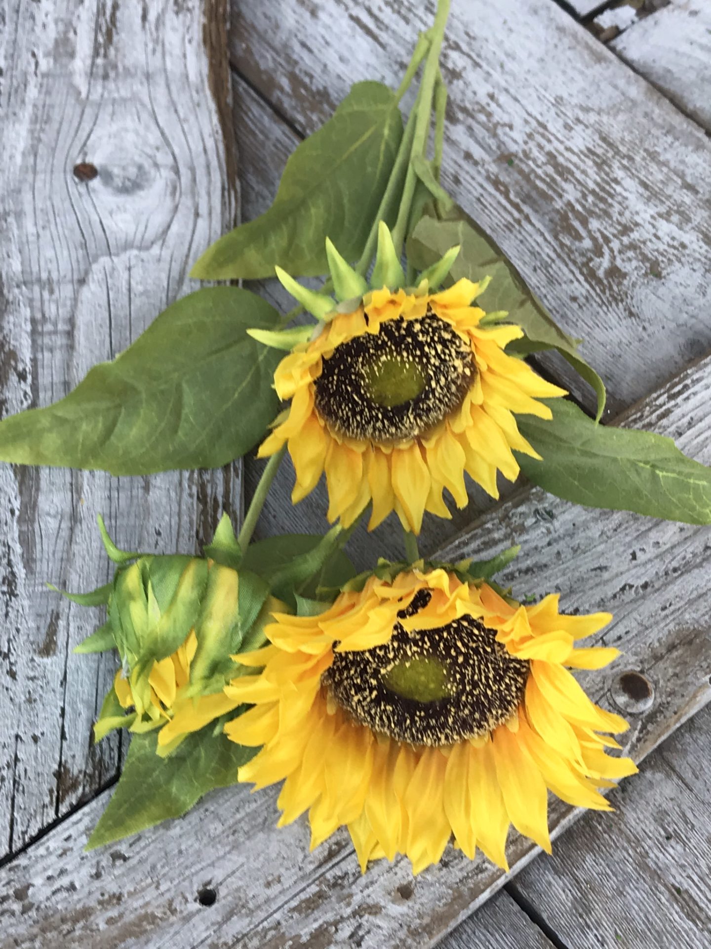 26" Sunflower Stems (Set of 2) Kelea's Florals