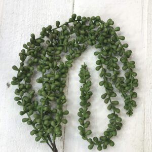 28in string of pearls succulent 2393360 (5)