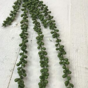 28in string of pearls succulent 2393360 (4)