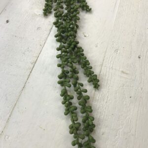 28in string of pearls succulent 2393360 (2)