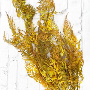 35in Fall Deer Fern Stem V92170 (5)