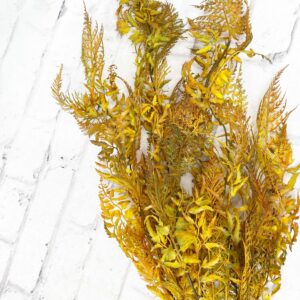 35in Fall Deer Fern Stem V92170 (2)