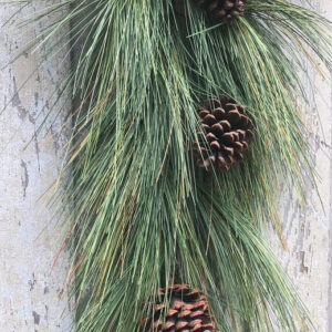 Long Needle Pine Swag with cones