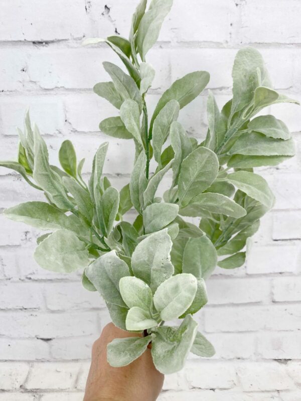 Lambs Ear Floral Bush