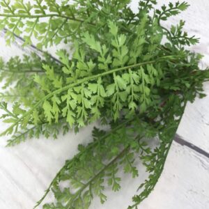 16in Fern Bundle 80633-GN (9)