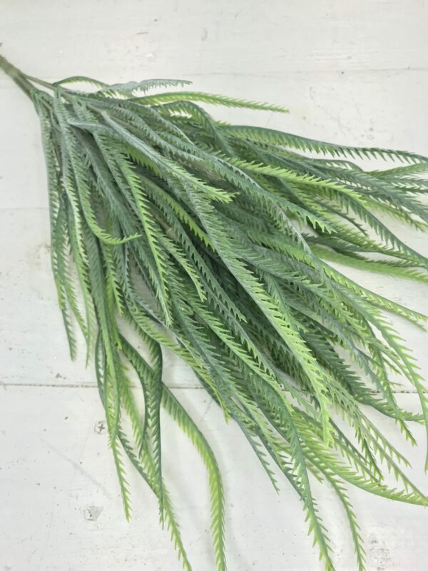 21in Sword Fern 80399 (4)