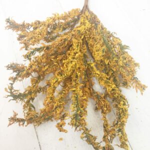 20in Flocked Yellow Tail Bush 56366GDYW (6)