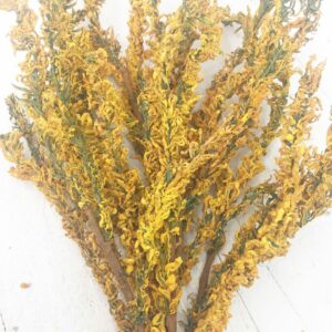 20in Flocked Yellow Tail Bush 56366GDYW (5)