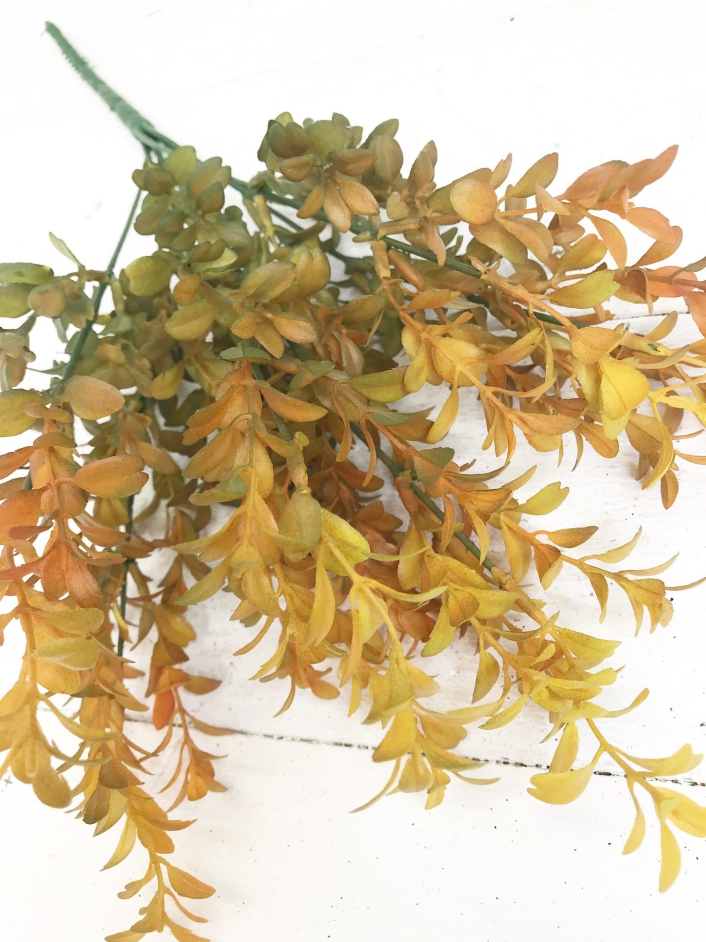 Orange Grass Bush Kelea's Florals