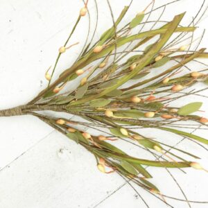 Golden Pods Grass Bush BR3024 (2)