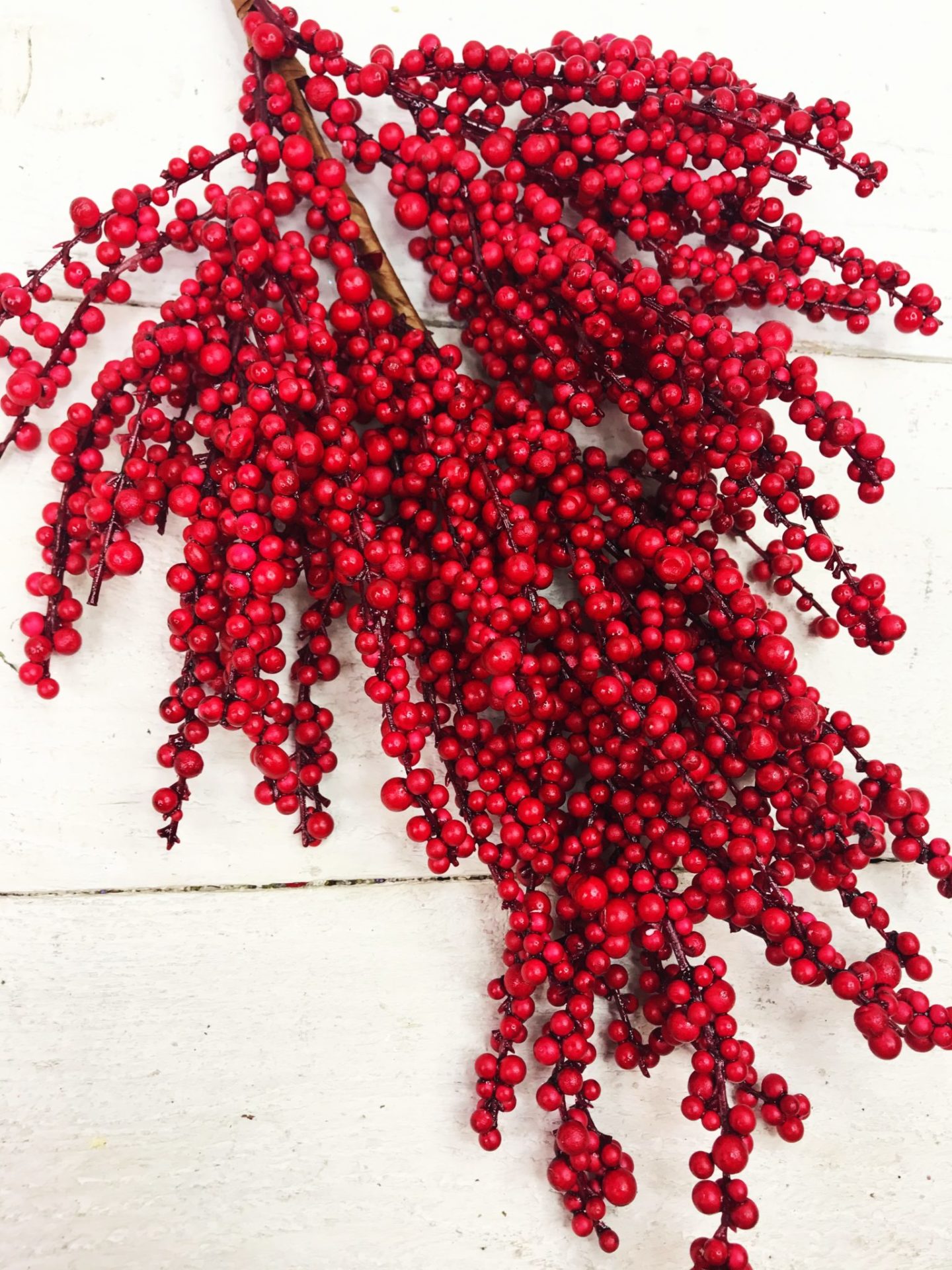 Red Small Berry Stem Kelea's Florals