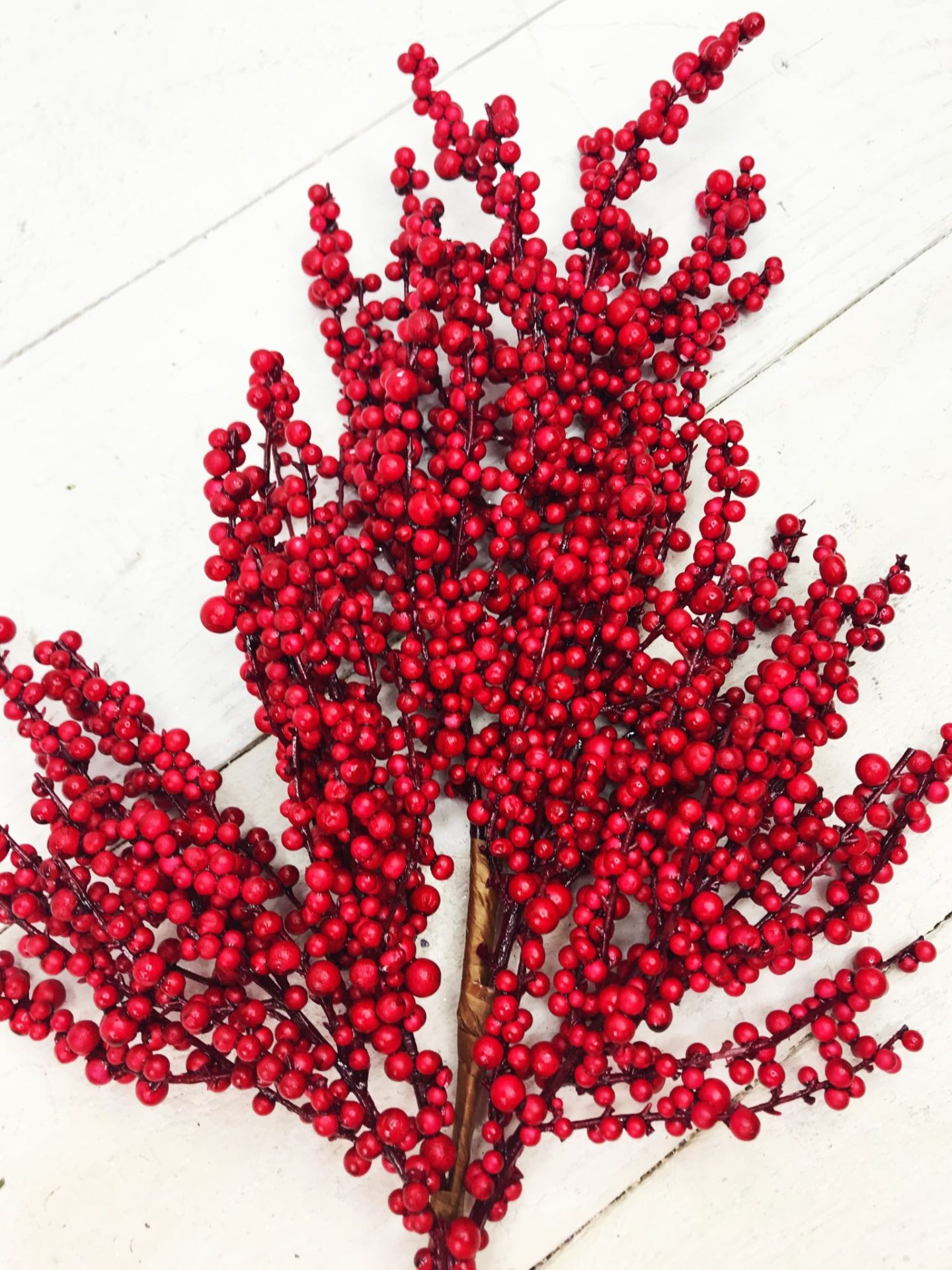 Red Small Berry Stem Kelea's Florals