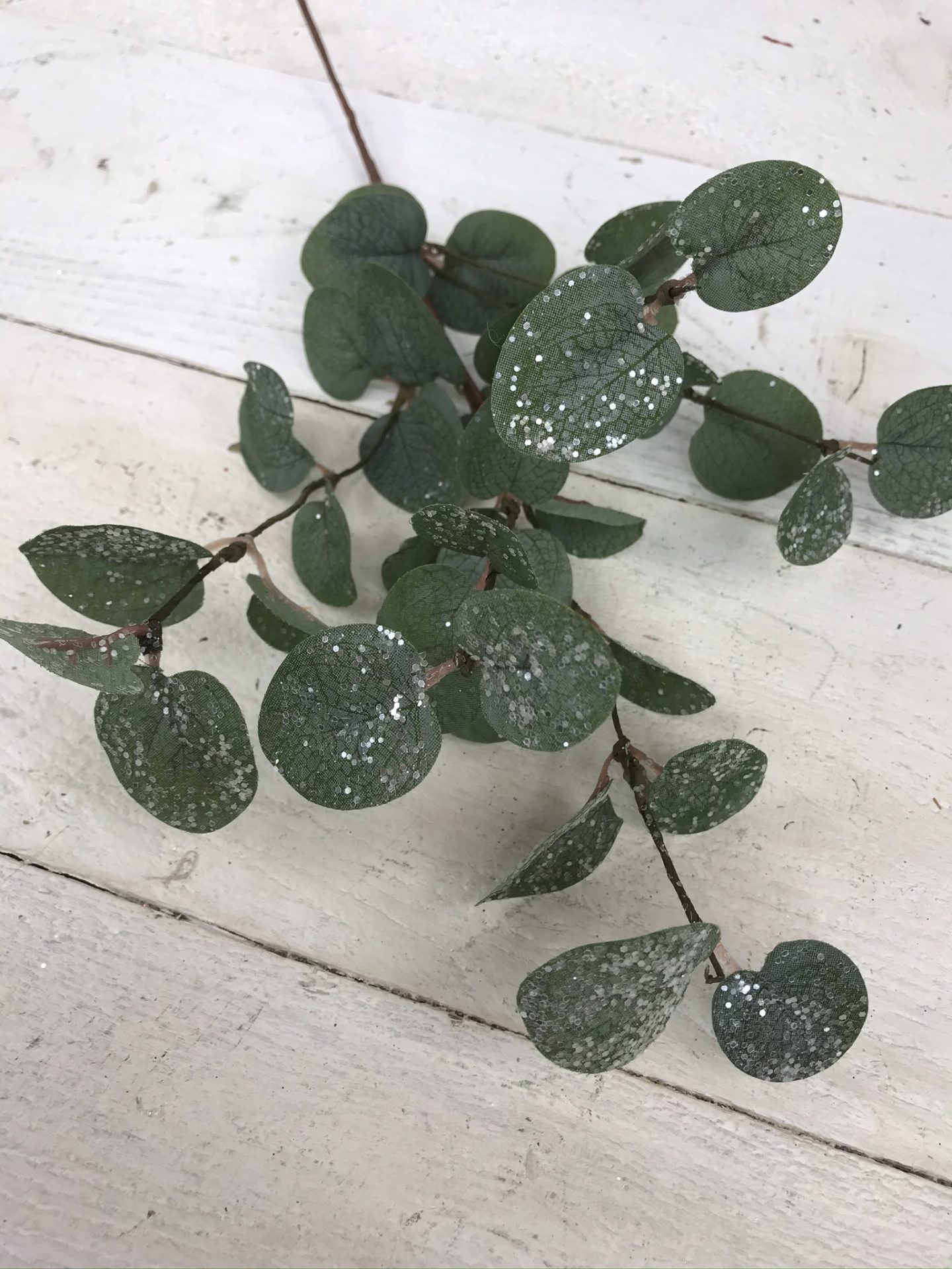 Eucalyptus Pick Kelea's Florals