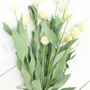 19in Cream Ball Stem 61079-CR (1)
