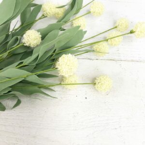 19in Cream Ball Stem 61079-CR (3)