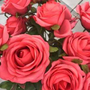 Open Rose Bushx14_53316-CORO (1)