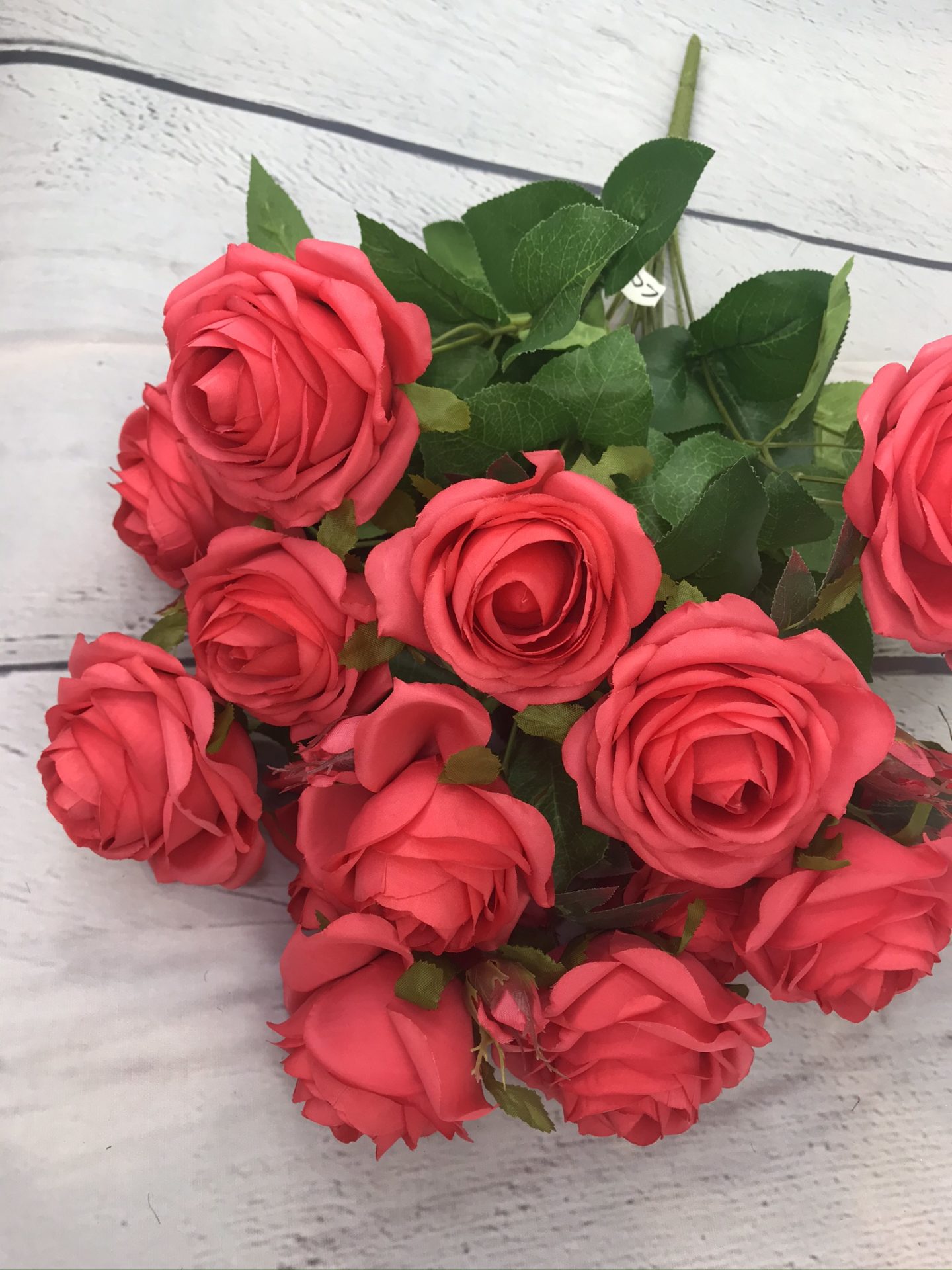 Coral Rose Bush Kelea's Florals