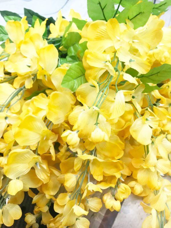 Yellow Wisteria Bush - Kelea's Florals