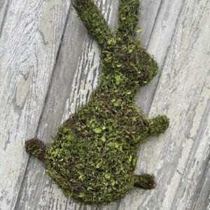 Moss Half Bunny