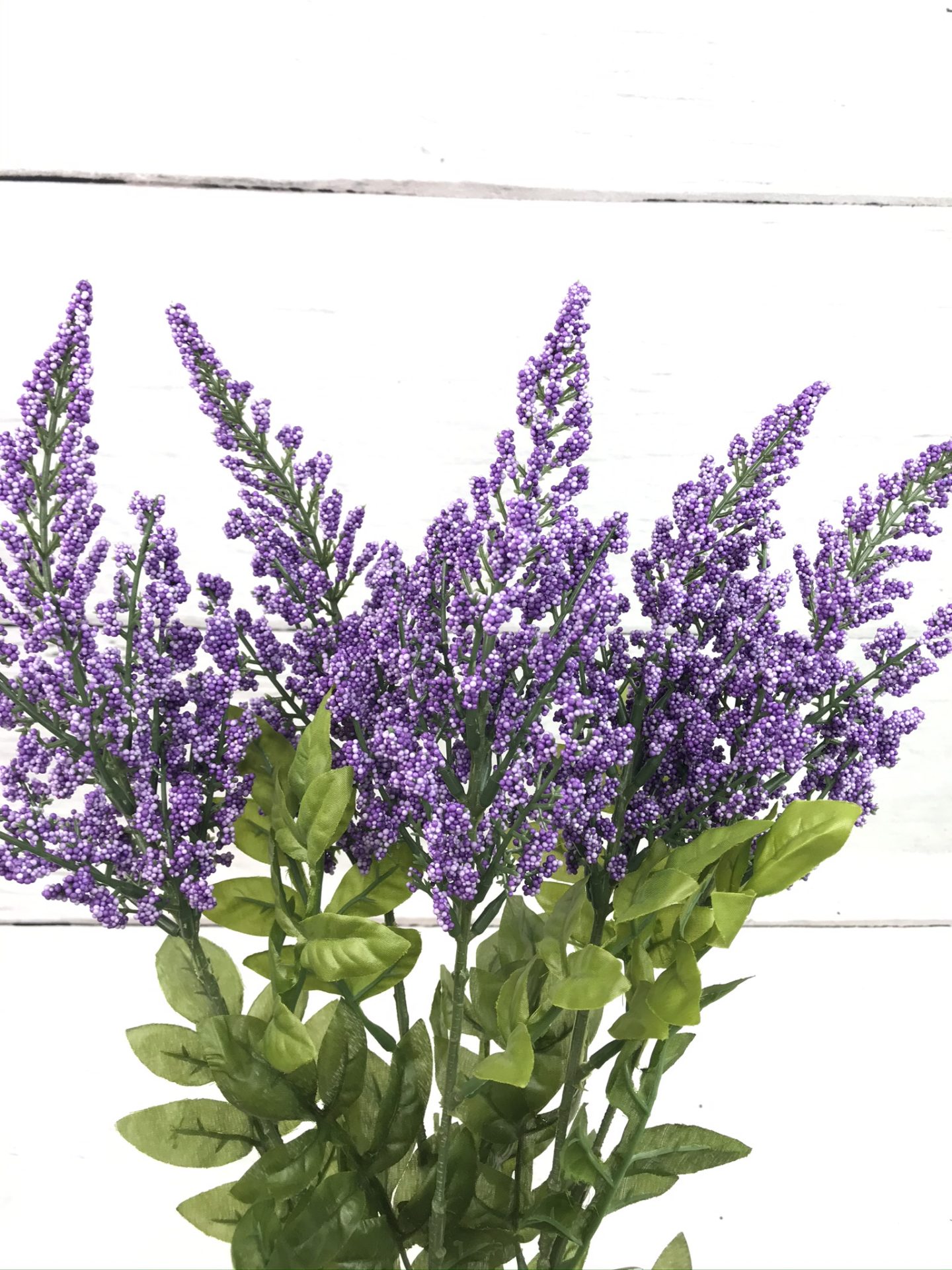 Purple Heather Bush Kelea's Florals