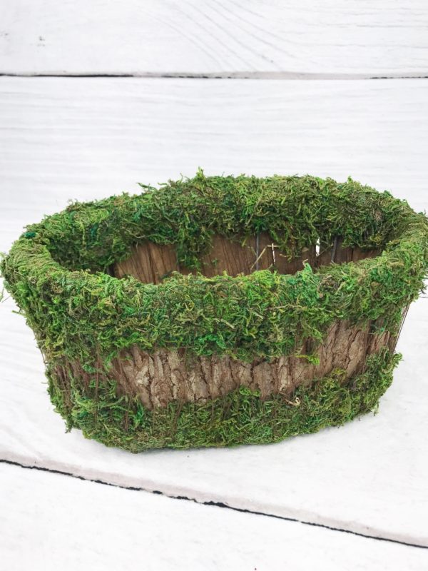 Oval Wood Bark and Moss Container Kelea's Florals
