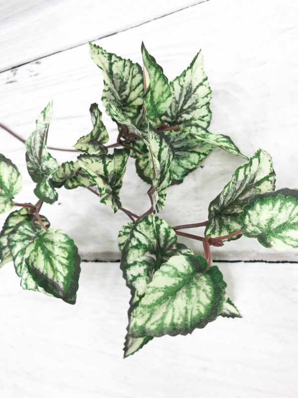 24in Large Ruby Begonia Stem OS2063 (7)