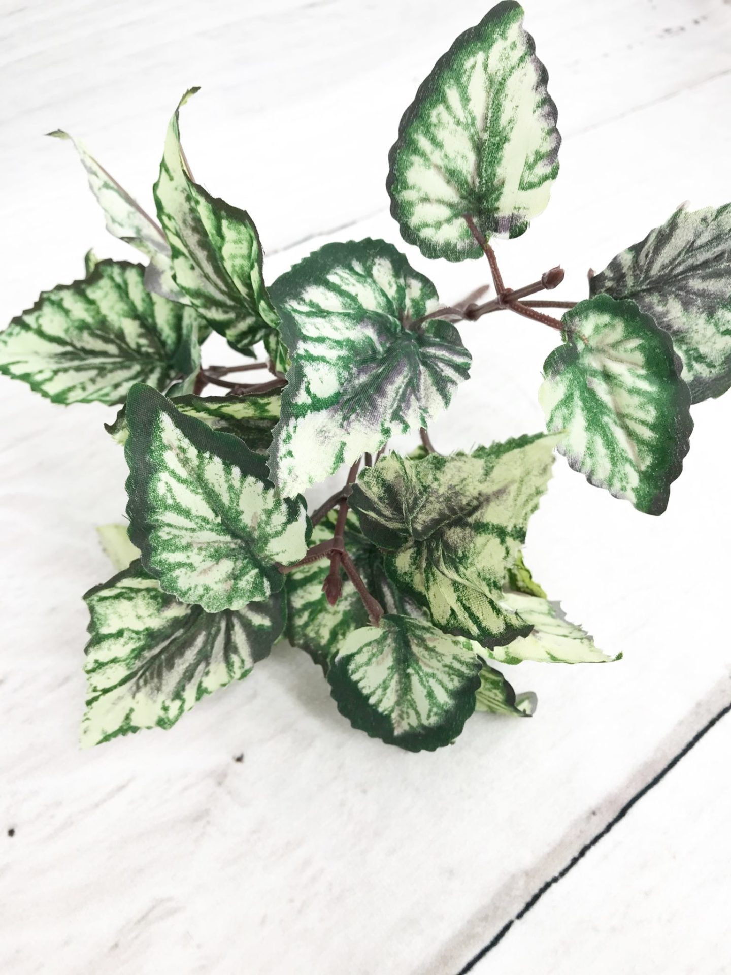 Small Ruby Begonia Stem Kelea's Florals