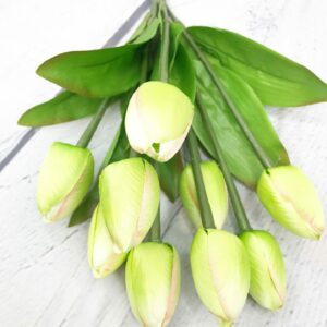 13" Green Tulip Bush with 9 heads