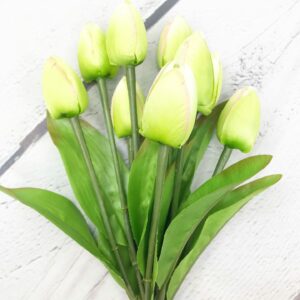 13" Green Tulip Bush with 9 heads