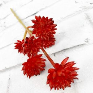 12in Red Sedum Calavartum Succulent SH0356-R (2)