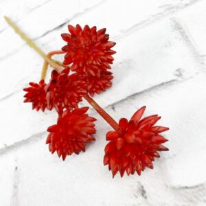 12in Red Sedum Calavartum Succulent SH0356-R (11)