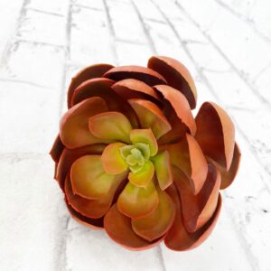 Large Red Green Succulent SQ0105-RO (13)