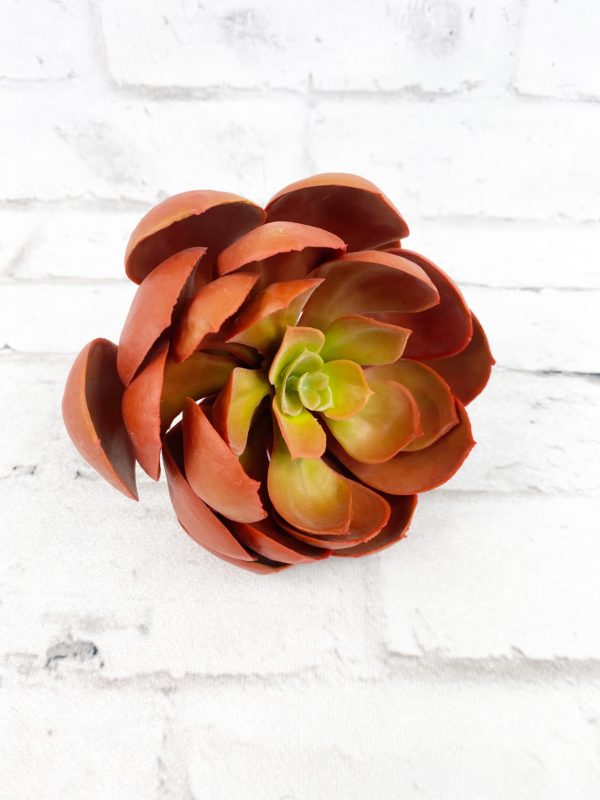 Large Red Green Succulent SQ0105-RO (10)