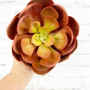 Large Red Green Succulent SQ0105-RO (14)