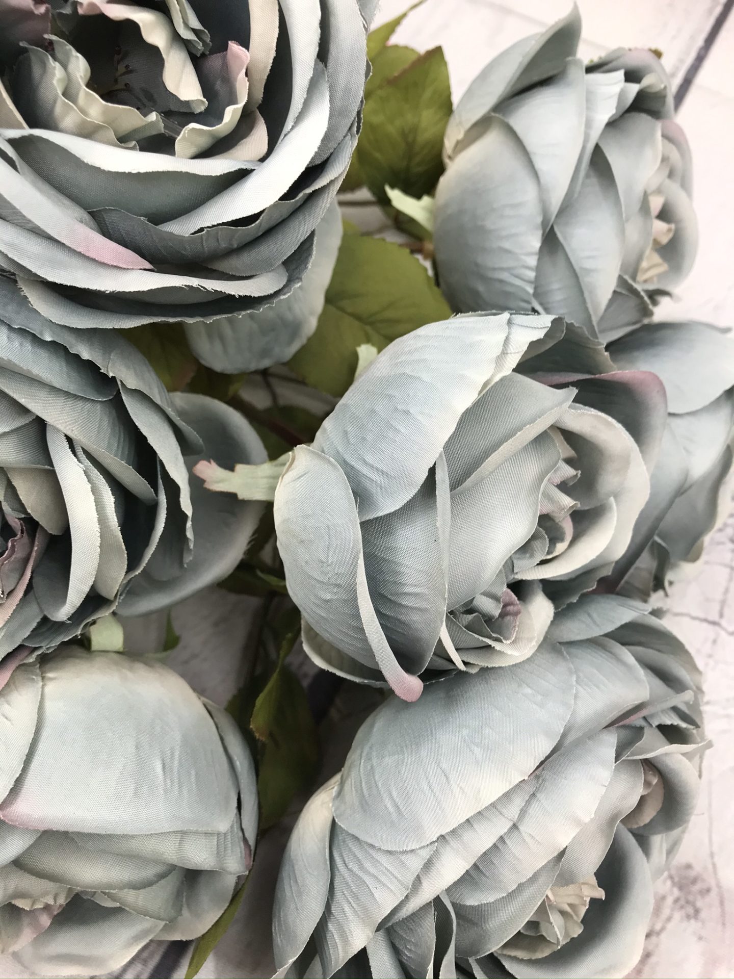 Blue Rosa Bush Kelea's Florals