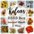 Kelea's BBBB monthly floral subscription box with seasonal blooms buds berries and branches