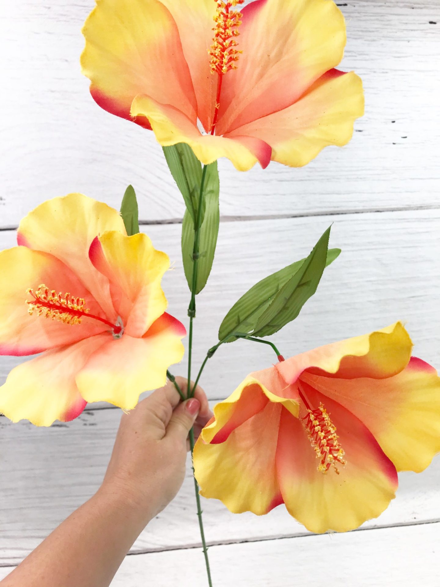 Coral Hibiscus Stem Kelea's Florals