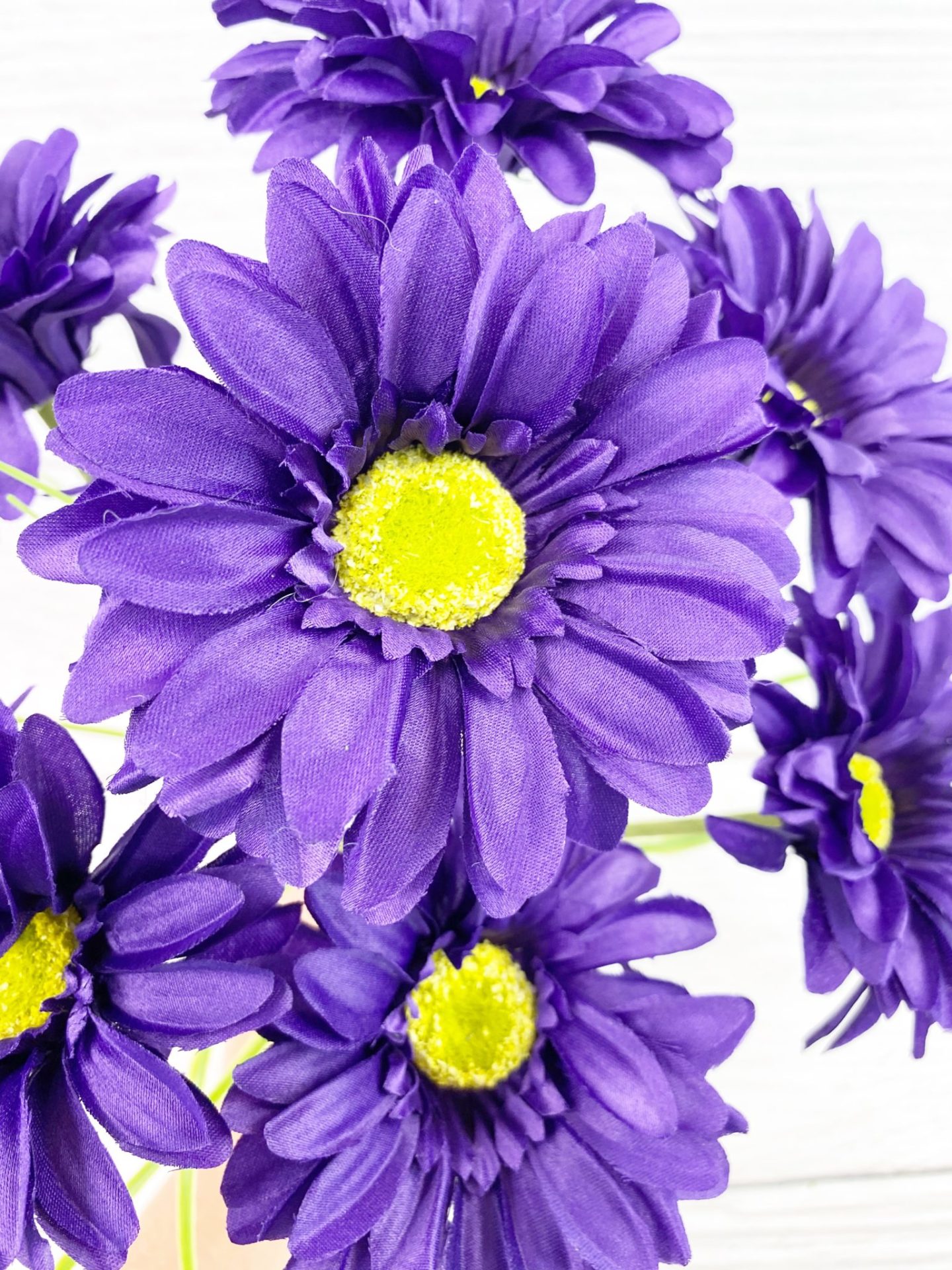 Purple Paris Daisy Bush Kelea's Florals