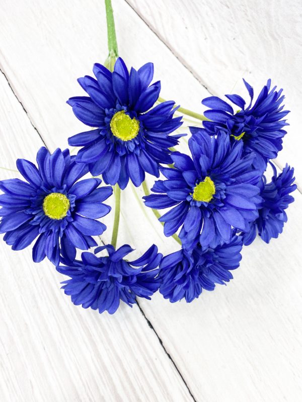 Dark Blue Paris Daisy Bush - Kelea's Florals