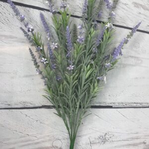 Lavender Bush