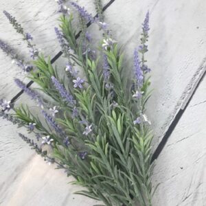 Lavender Bush