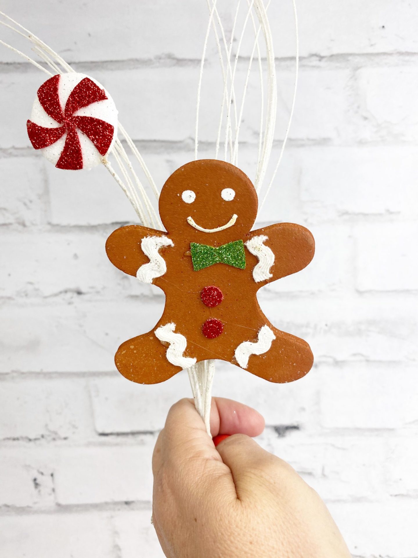 Gingerbread man and Peppermint candy Pick Kelea's Florals