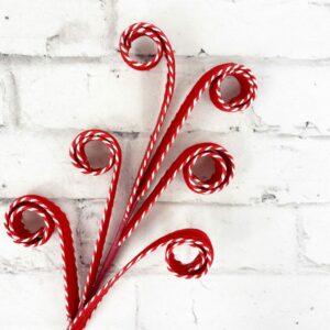 27in Peppermint Curly Stem 84130RD (5)