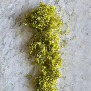 Chartreuse dried Spanish moss for wreaths and floral designs