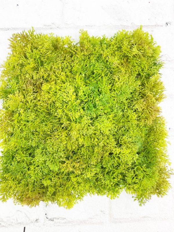 Sheet of Moss Turf Kelea's Florals